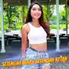 Febi Anisa - Setengah Beras Setengah Ketan - Single